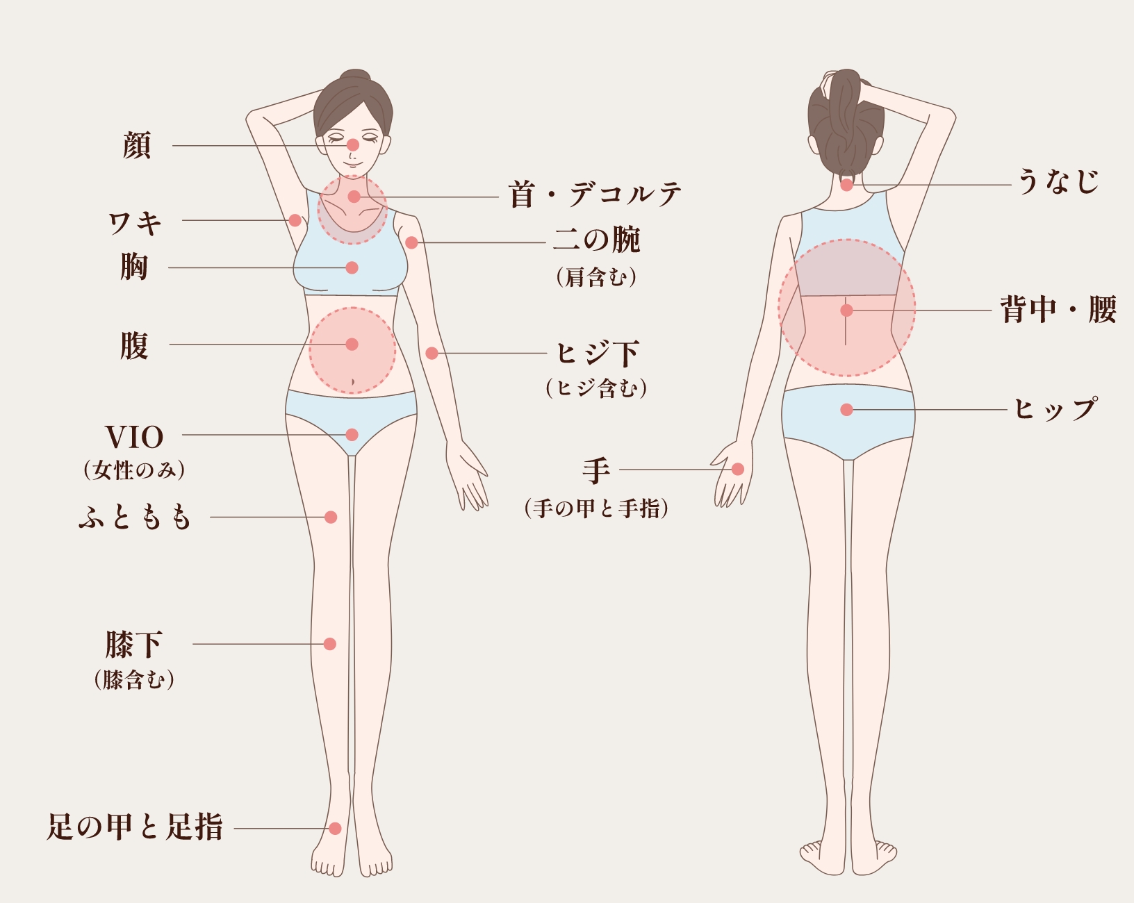 脱毛可能な部位